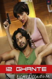 12 Ghante (2024) Namasteyflix Original