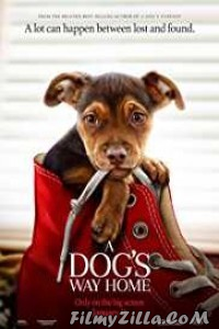 A Dogs Way Home (2019) English Movie