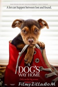 A Dogs Way Home (2019) Hindi Dubbed