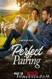 A Perfect Pairing (2022) Hindi Dubbed