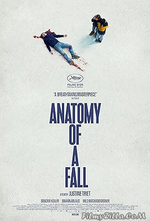 Anatomy of a Fall (2023) Hindi Dubbed