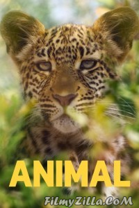 Animal (2021) Web Series