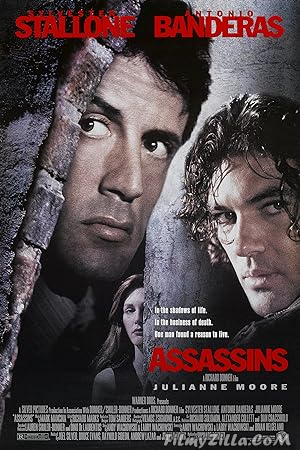 Assassins (1995) Hindi Dubbed