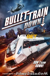 Bullet Train Down (2022) Hindi Dubbed