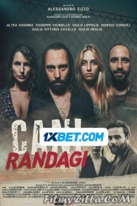 Cani randagi (2023) Hindi Dubbed