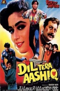 Dil Tera Aashiq (1993) Hindi Movie