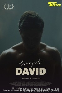 El perfecto David (2021) Hindi Dubbed