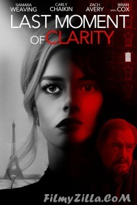 Last Moment of Clarity (2020) Hindi Dubbed