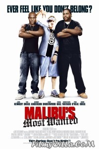 Malibus Most Wanted (2003) Hindi Dubbed