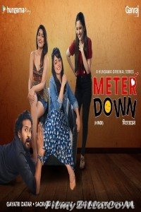 Meter Down (2021) Web Series