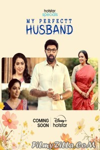 My Perfectt Husband (2024) Season 1 Hindi WebSeries