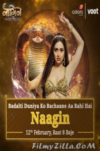 Naagin - Season 6 (2022) TV Show