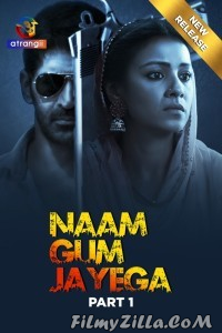 Naam Gum Jayega (2024) Season 1 Hindi Web Series