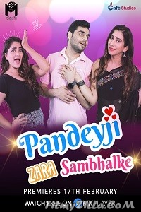 Pandeyji Zara Sambhalke (2021) Web Series