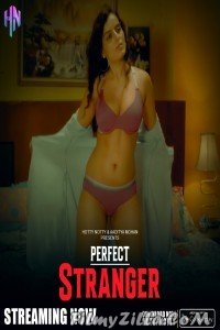 Perfect Stranger (2023) HottyNotty Original