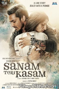 Sanam Teri Kasam (2016) Hindi Movie