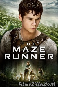 The Maze Runner (2014) Hindi Dubbedd