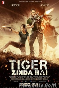 Tiger Zinda Hai (2017) Hindi Movie